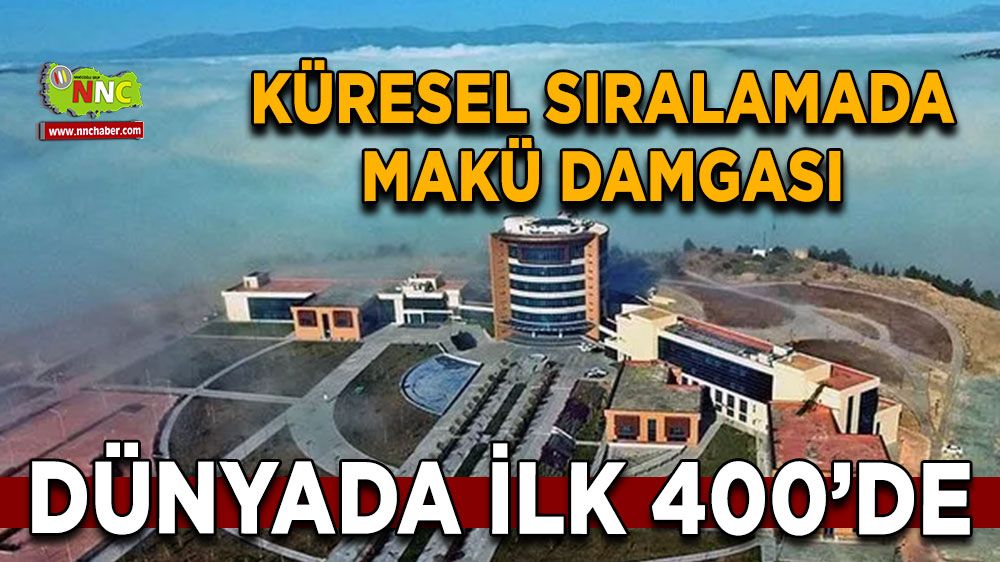 MAKÜ'den THE 2025 Etki Sıralaması’nda büyük başarı İki alanda dünyada ilk 400 üniversite arasında