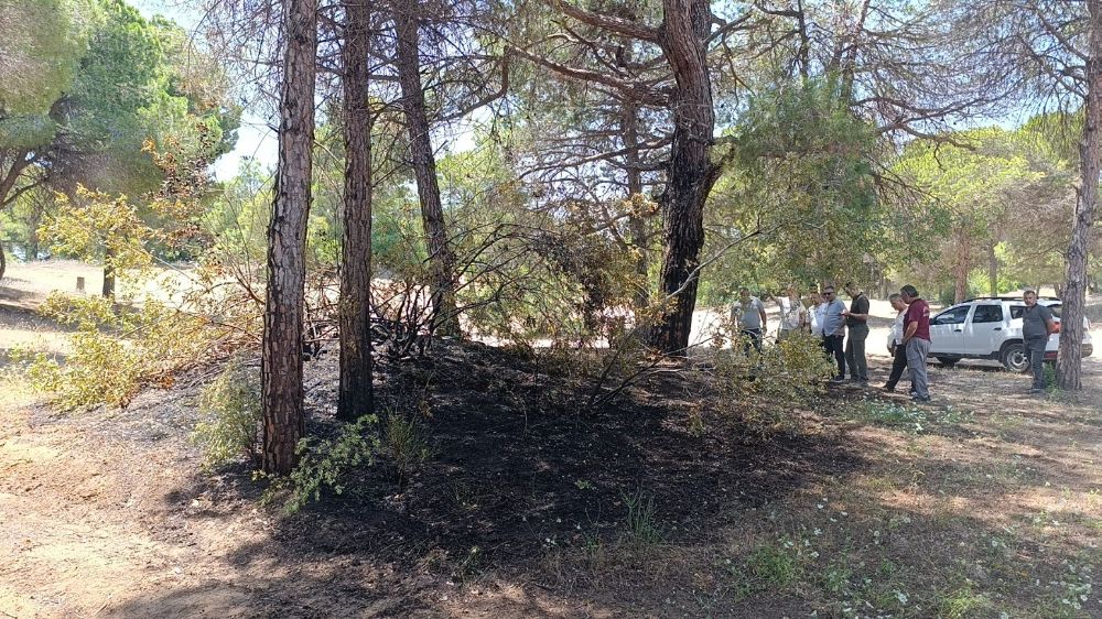 Manavgat'ta çalılık yangını büyümeden söndürüldü