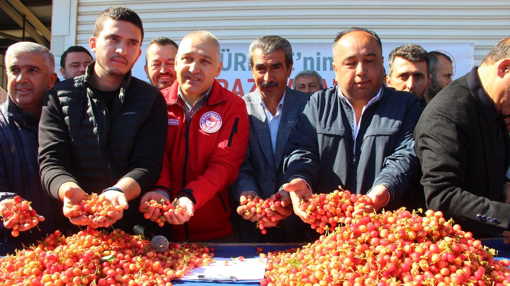 Manisa'nın ilk 5 aylık tarım ihracatı 400 milyon dolara yaklaştı