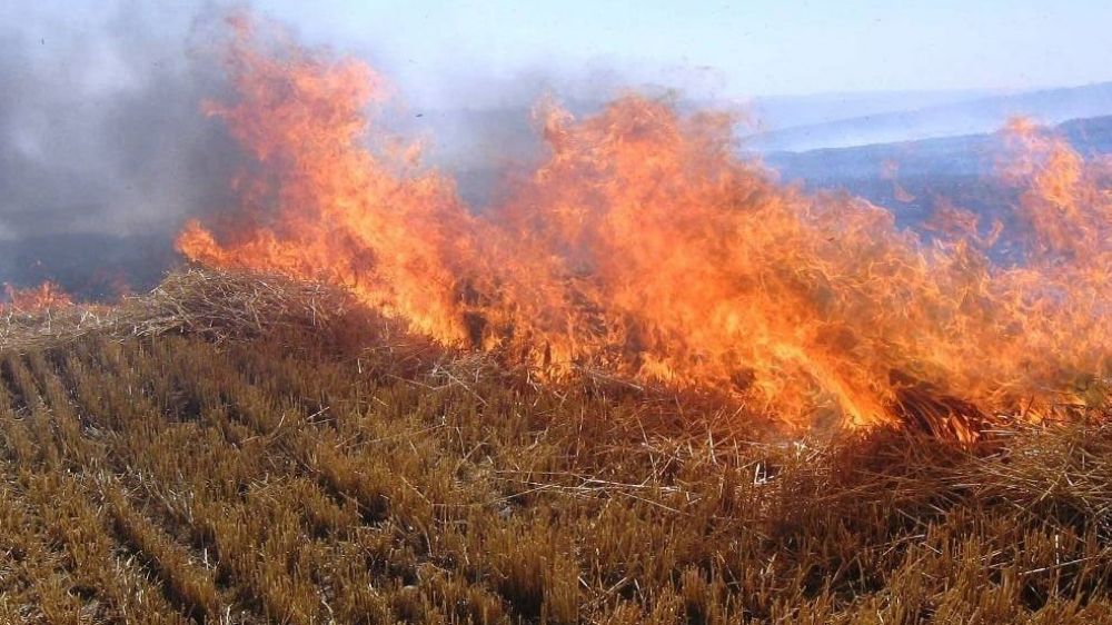  Meteorolojiden Erzincan ve çevresi için orman yangını uyarısı