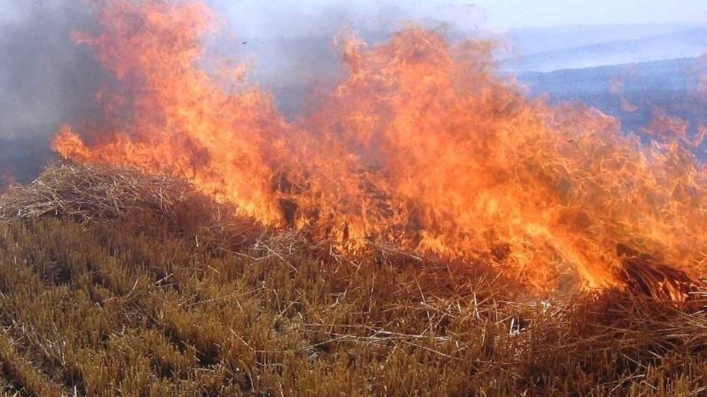 Meteorolojiden orman yangını uyarısı
