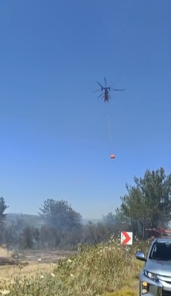 Milas'taki yangına müdahale sürüyor