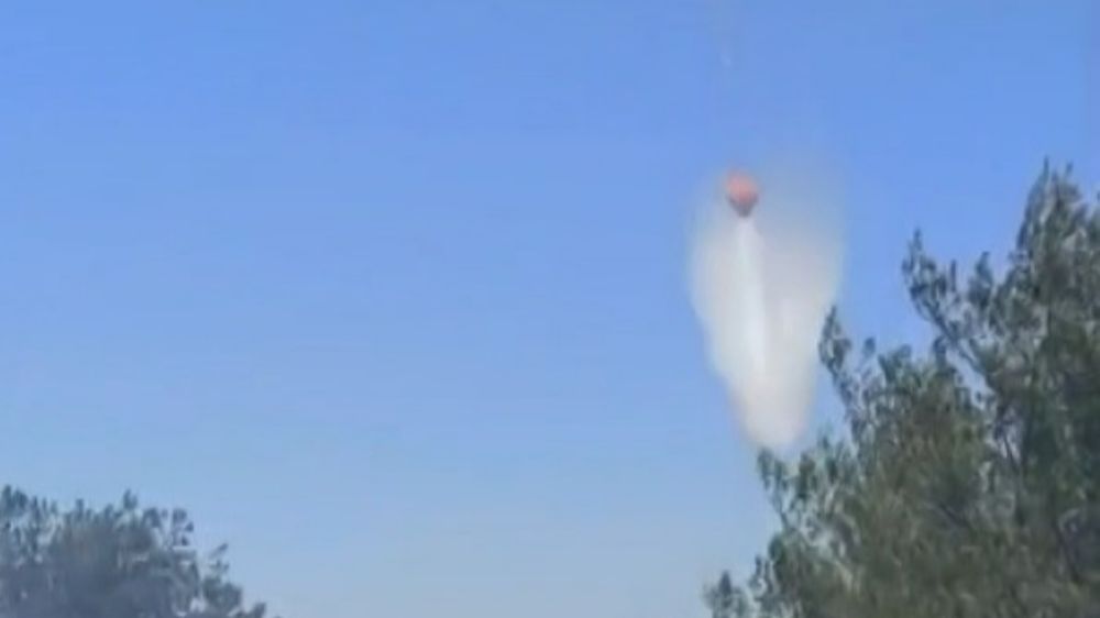 Milas'taki yangına müdahale sürüyor