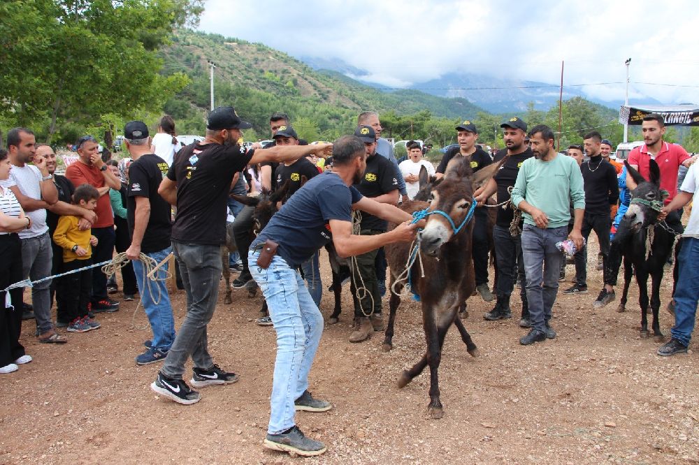 Motokros yarışında motosikletle birinci, diğer yarışmada eşekle sonuncu oldu