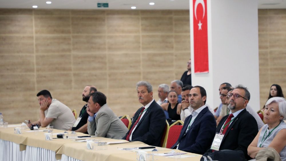 Muğla’da şehir merkezlerine kadar inen yaban domuzlarına çare aranıyor