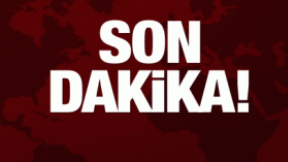 Muş’ta fırtına ağaçları ve elektrik direklerini devirdi