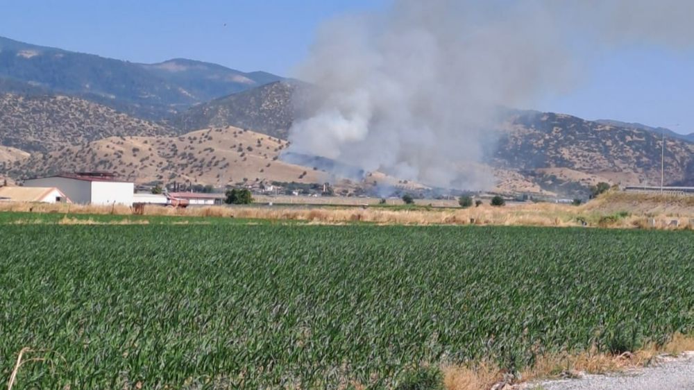 Nazilli'de zirai alan yangını