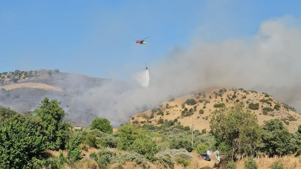 Nazilli'deki zirai alan yangını kontrol altına alındı