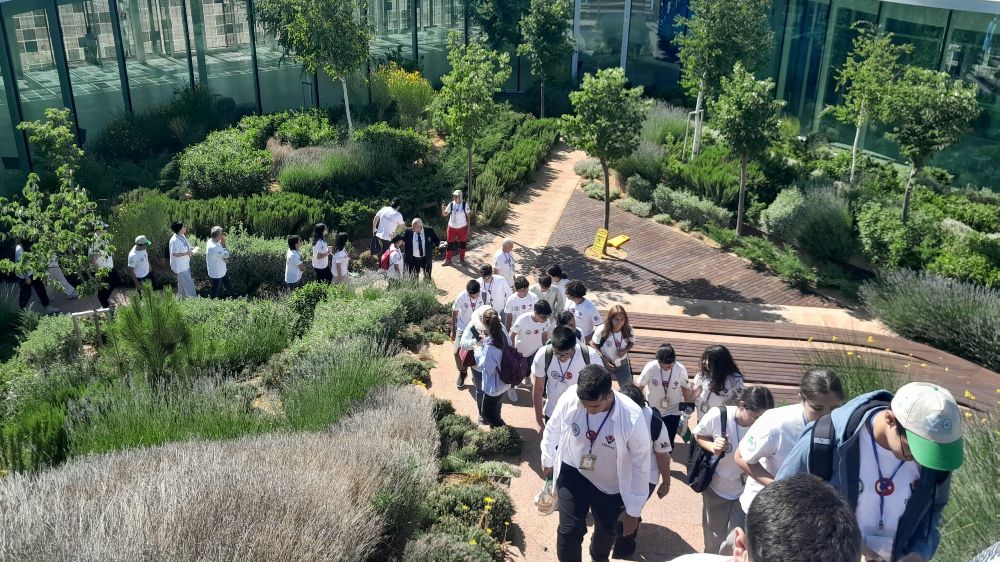 Öğrenciler Karapınar'da doğayı keşfetti