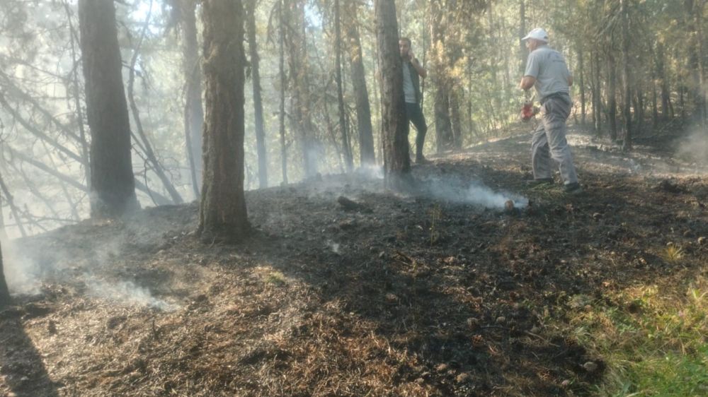 Ormanlık alandaki örtü yangını zamanında müdahaleyle söndürüldü