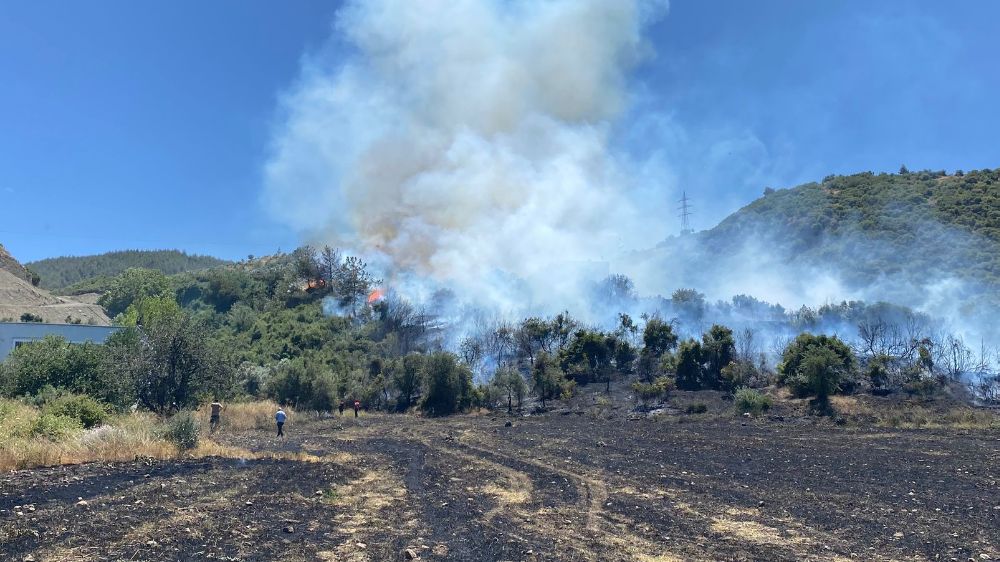 Osmaniye'deki anız yangını ormana sıçradı