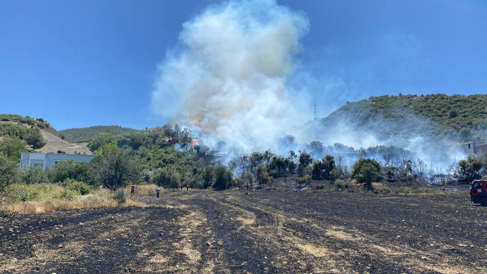 Osmaniye'deki anız yangını ormana sıçradı