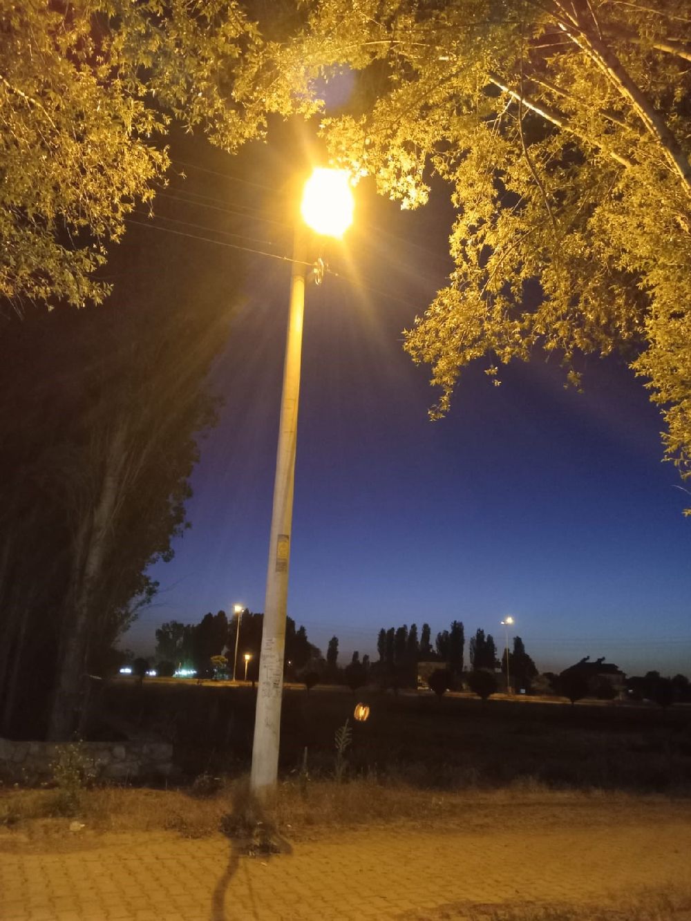 Otizmli gencin aydınlatma direği talebi anında karşılık buldu