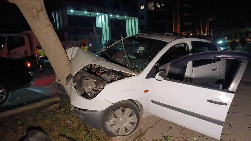 Otomobil refüjdeki ağaca çarptı, sürücü yaralandı