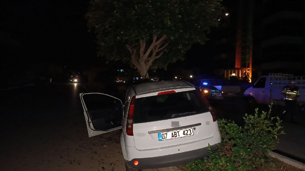 Otomobil refüjdeki ağaca çarptı, sürücü yaralandı