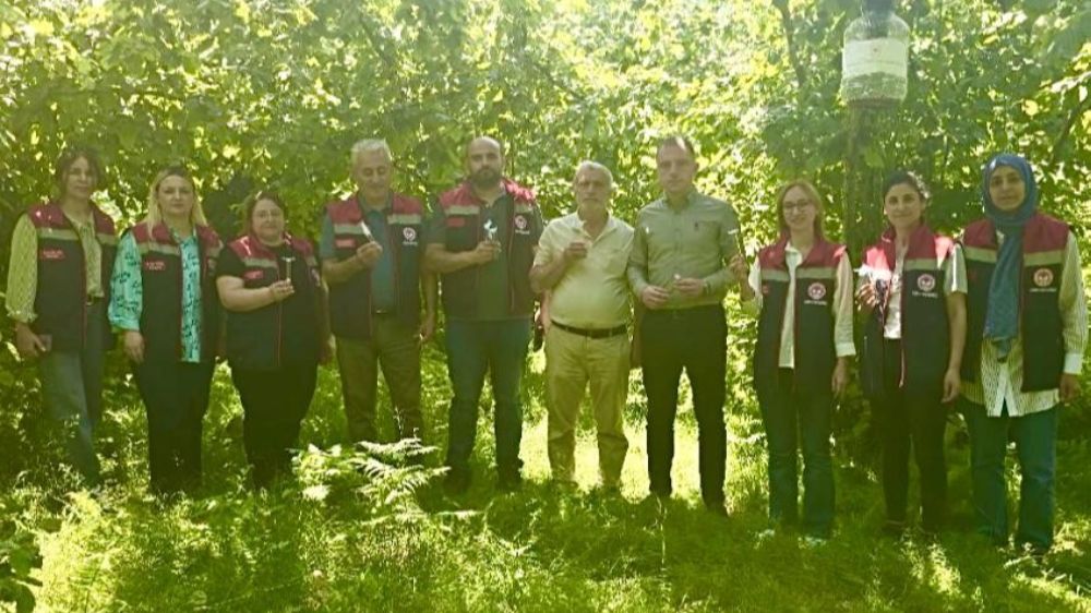 Rize’de kahverengi kokarcaya karşı 50 bin adet samuray doğaya salındı