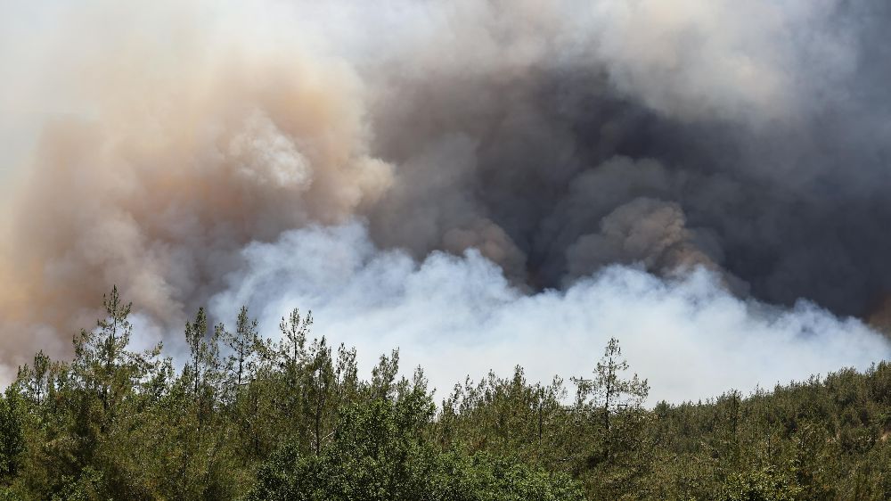  Sakarya'daki orman yangınında son durum: 2 mahallede tahliye işlemleri başladı