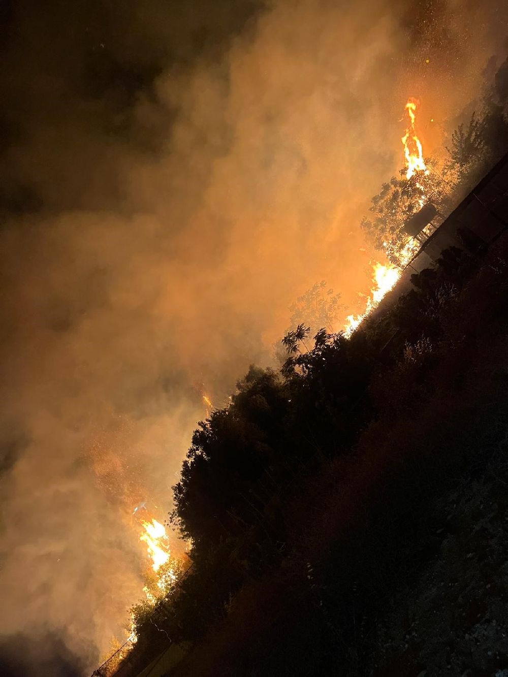 Samandağ'da evin bahçesinden alevler yükseldi