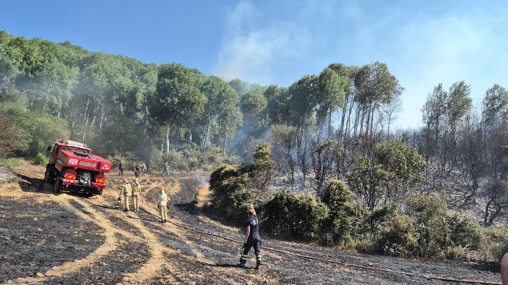 Şarköy'de tarlada çıkan yangın makilik alana sıçradı