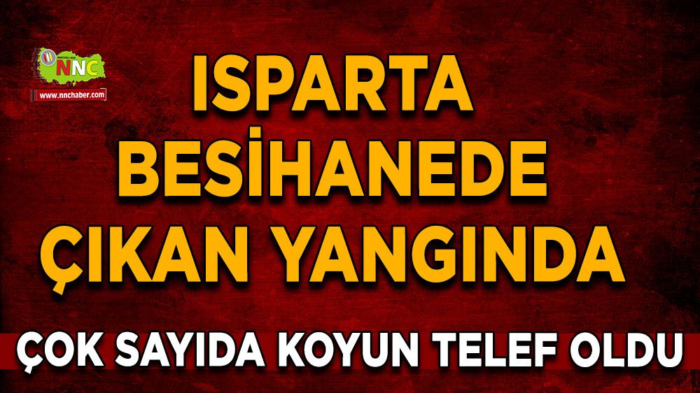 Senirkent'te besihanede çıkan yangında çok sayıda koyun telef oldu