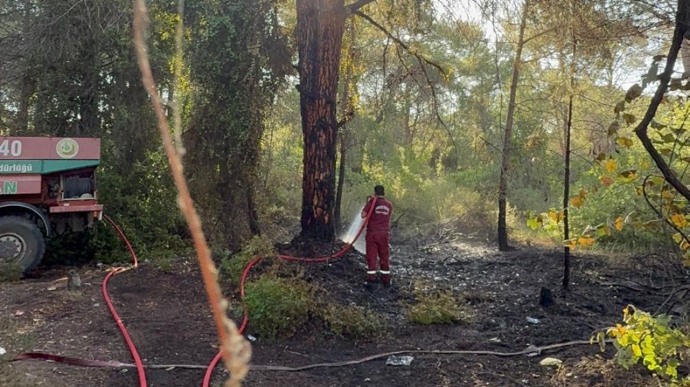  Serik'te sabah saatlerinde çıkan orman yangını söndürüldü
