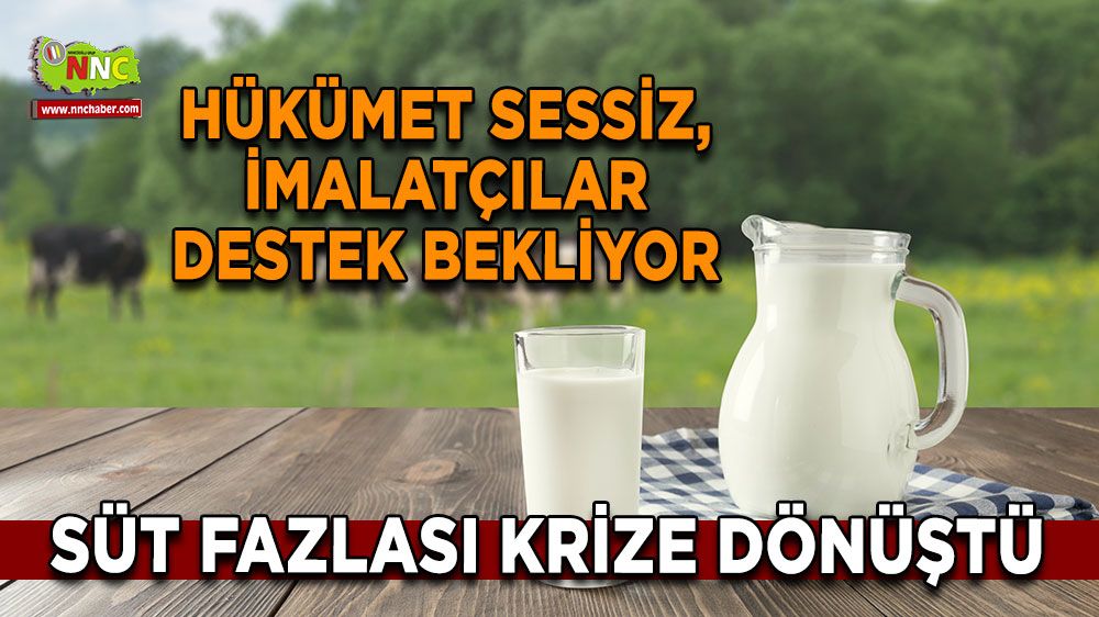 Süt fazlası krize dönüştü Hükümet sessiz, imalatçılar destek bekliyor
