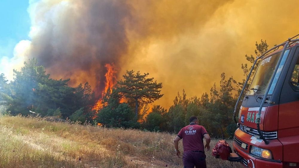Taraklı'da çıkan orman yangını helikopterden görüntülendi