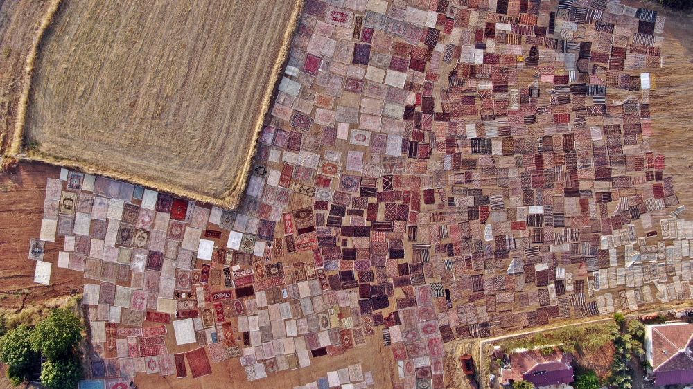 Tarlalarda milyonluk halı nöbeti başladı