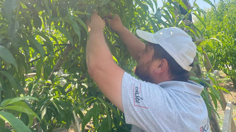 "Tek tek" günde 1200 lira kazanıyorlar