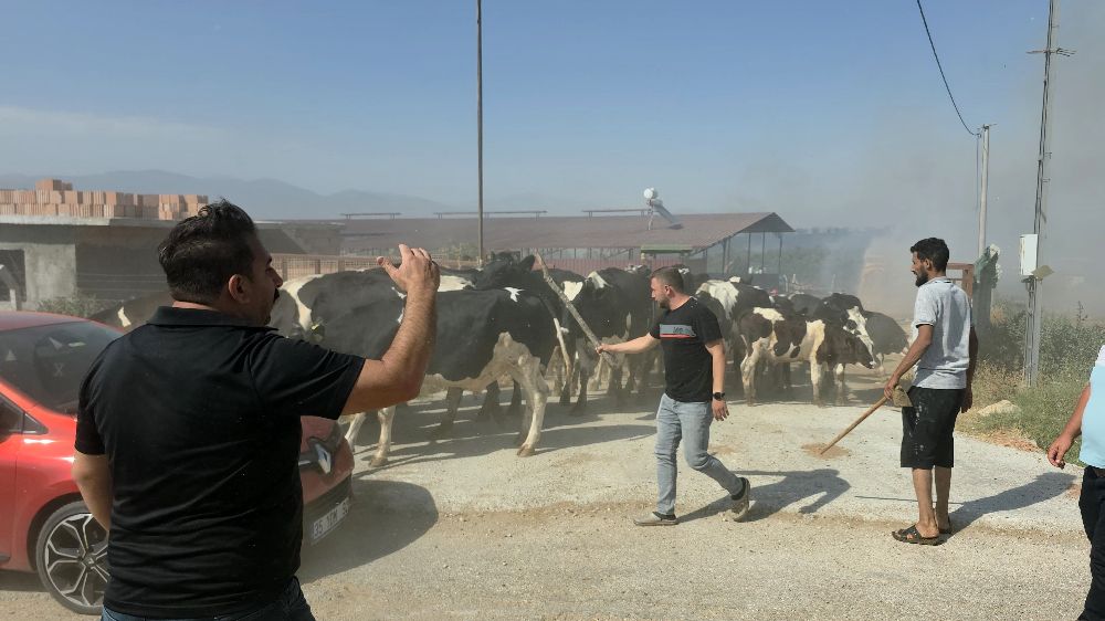 Tire'de makilik alandaki yangın köye sıçradı, bazı evler ve damlar küle döndü