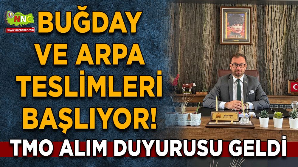 TMO alım duyurusu geldi Buğday ve arpa teslimleri başlıyor!