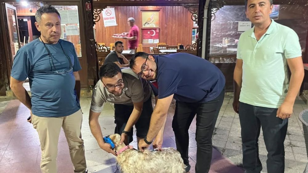 Toplu kuduz aşısı uygulaması avcılar kulübünde gerçekleştirildi