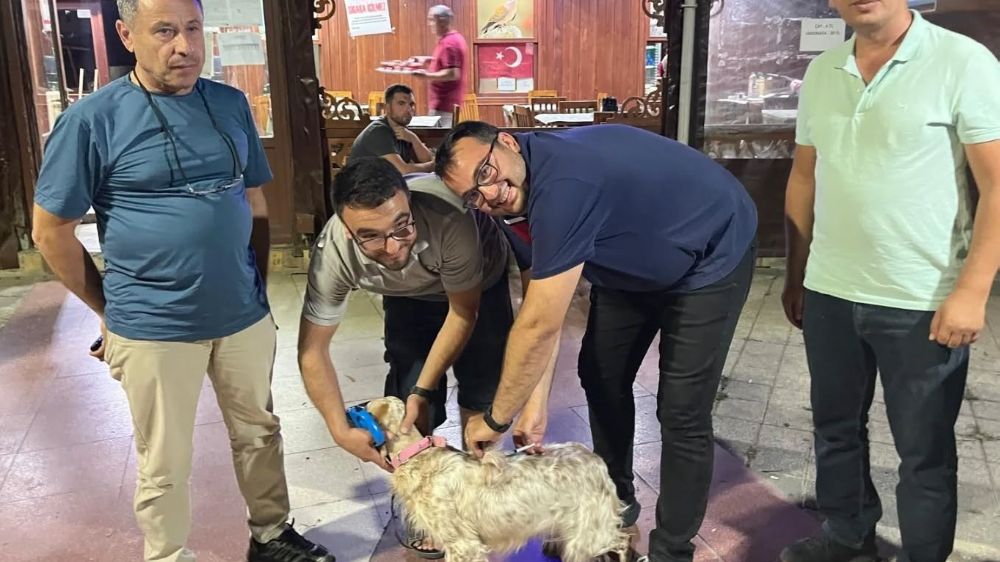 Toplu kuduz aşısı uygulaması avcılar kulübünde gerçekleştirildi