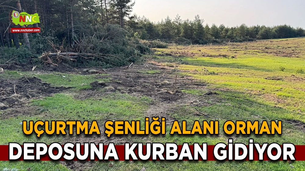 Uçurtma şenliği alanı orman deposuna kurban gidiyor