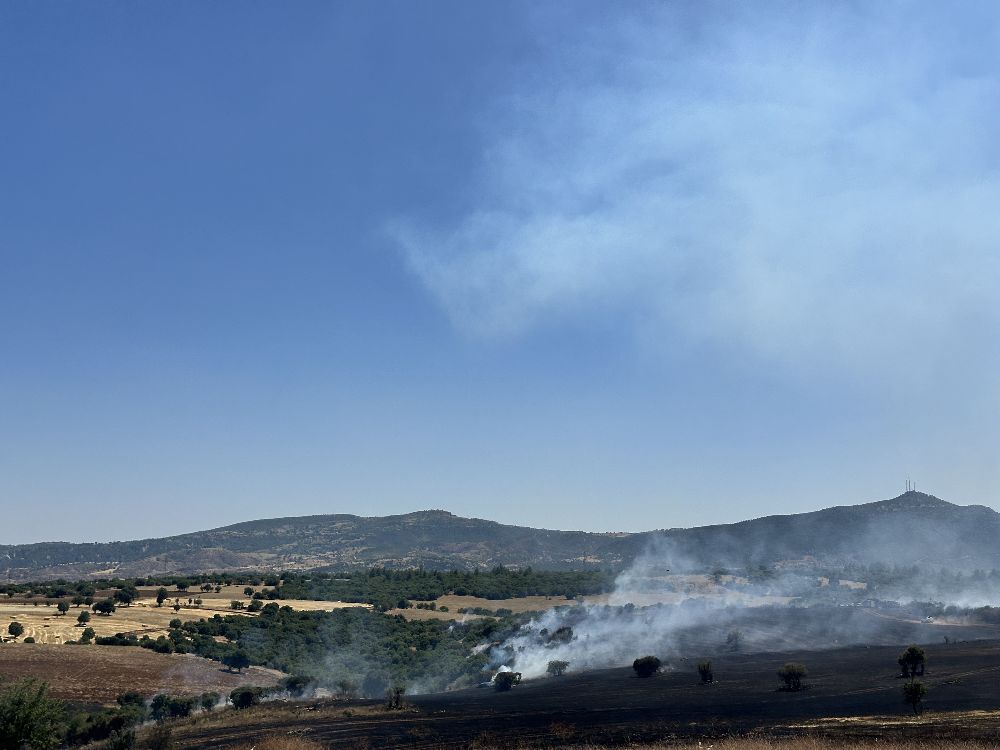 Uşak’ta tarım arazisinde çıkan yangın makilik alama sıçradı