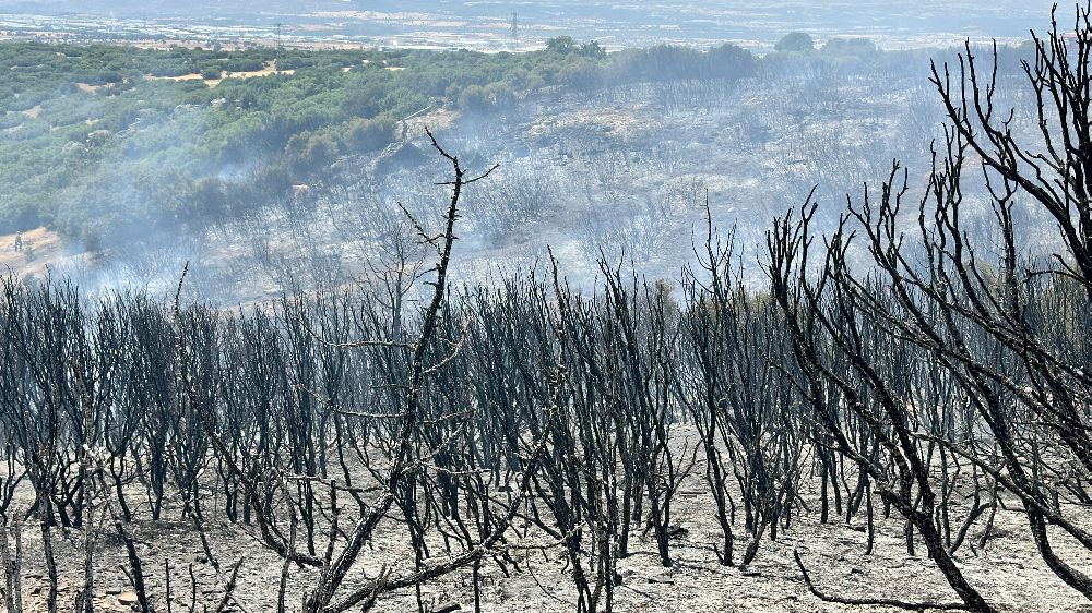 Uşak’ta tarım arazisinde çıkan yangın makilik alama sıçradı