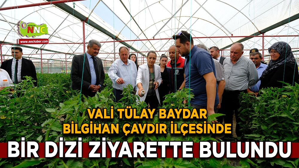 Vali Tülay Baydar Bilgihan Çavdır ilçesinde bir dizi ziyarette bulundu
