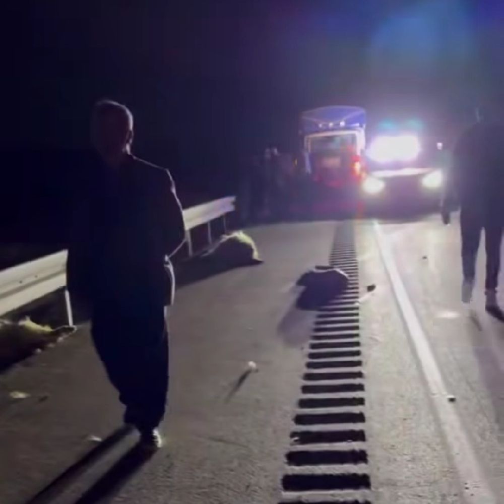 Van'da hafif ticari kamyonet sürüye çarptı; 8 koyun telef oldu