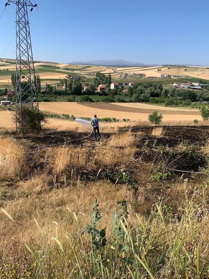 Yüksek gerilim hattı koptu, buğday tarlası alev aldı