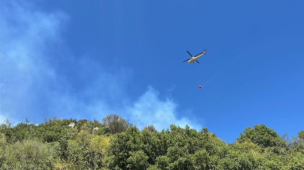 Zirai alanda başlayan yangın ormana sıçradı