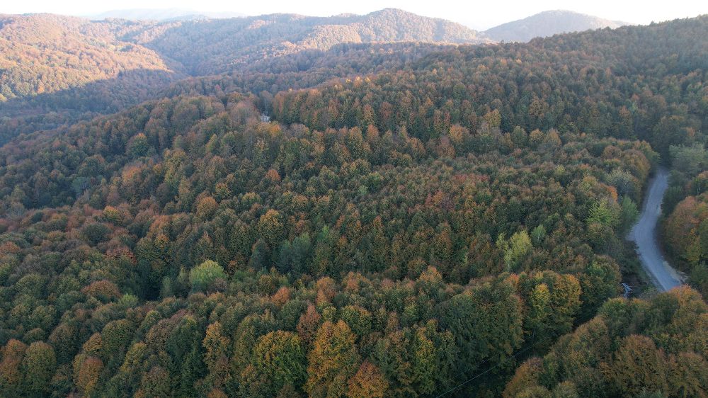  Zonguldak Valiliği 30 Eylül’e kadar ormanlara girişleri yasakladı
