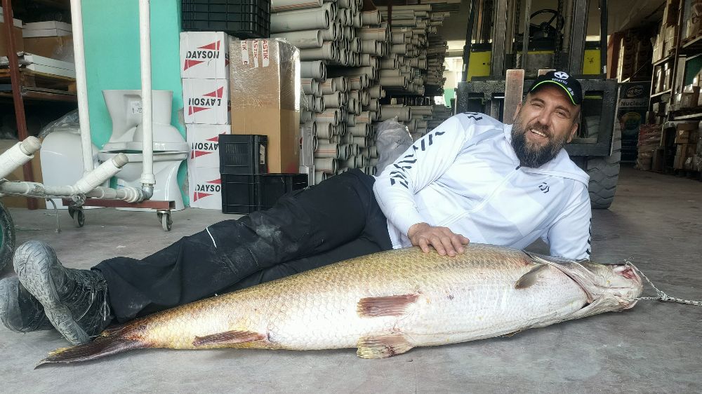 1 buçuk metrelik balık oltaya takıldı