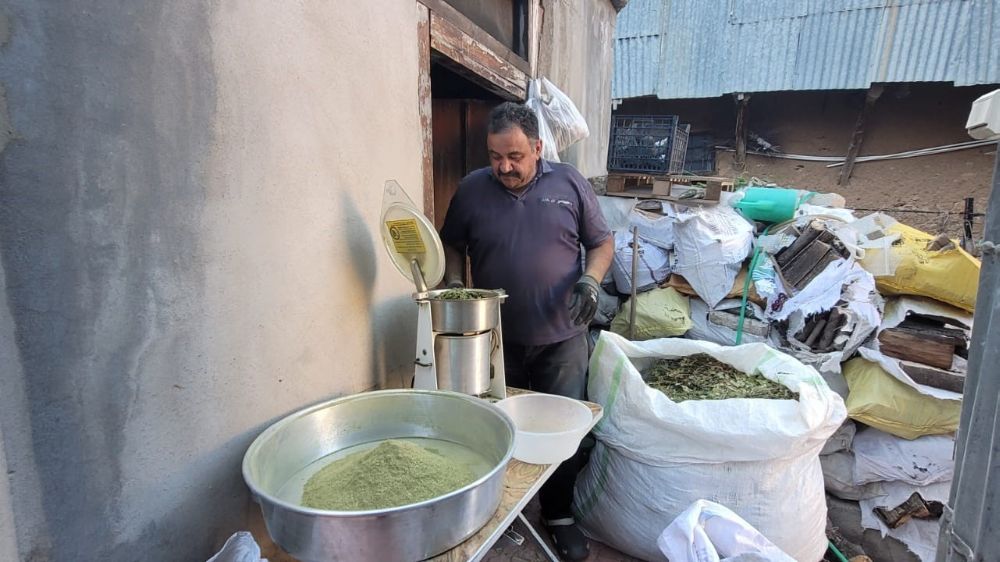  120 çeşit bitkinin karışımıyla elde edilen baharat  Zetrin