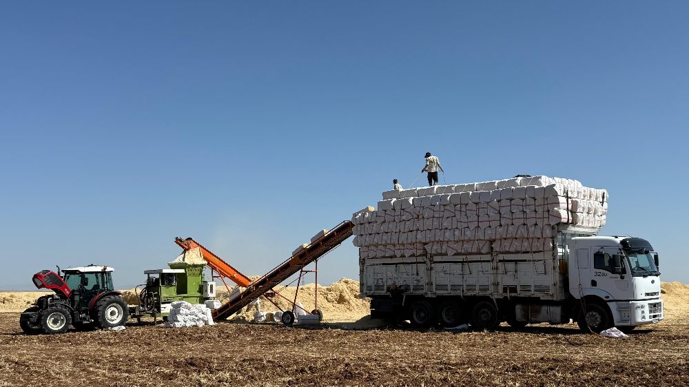 45 derece hissedilen sıcak havada saman yüklüyorlar