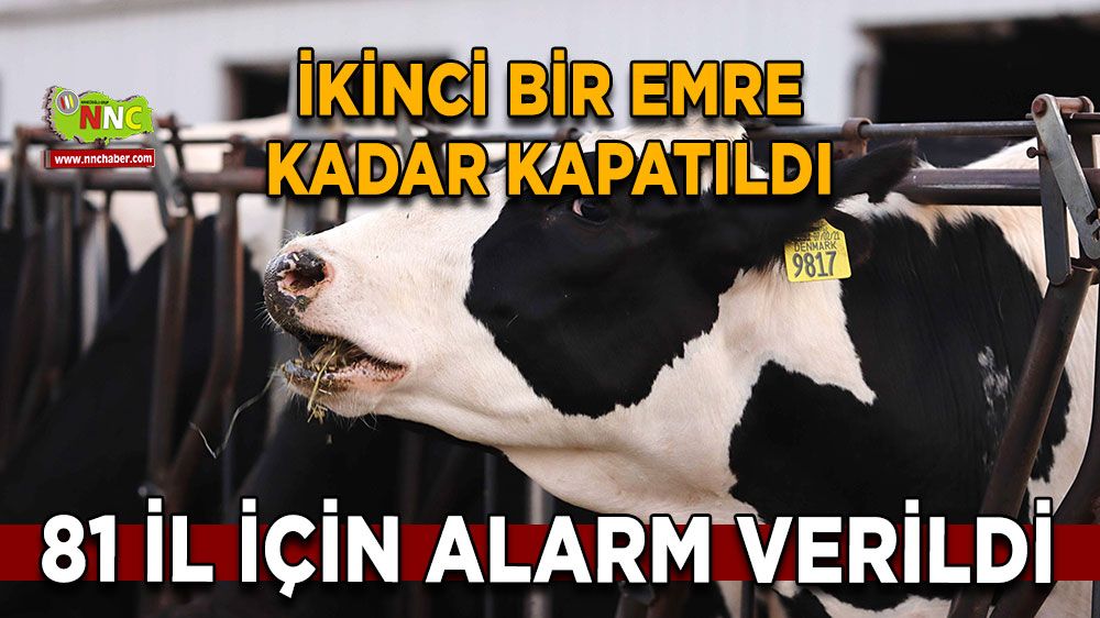 81 il için alarm verildi İkinci bir emre kadar kapatıldı