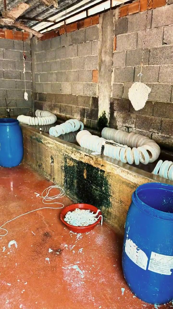 Adana'da binlerce kilo paça ele geçirildi