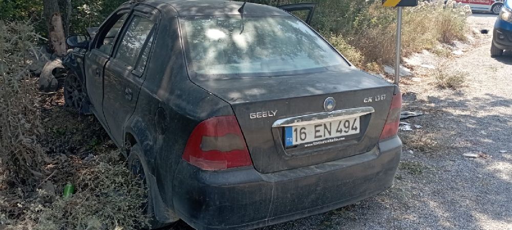 Ağaca çarpan otomobildeki 2 kişi yaralandı