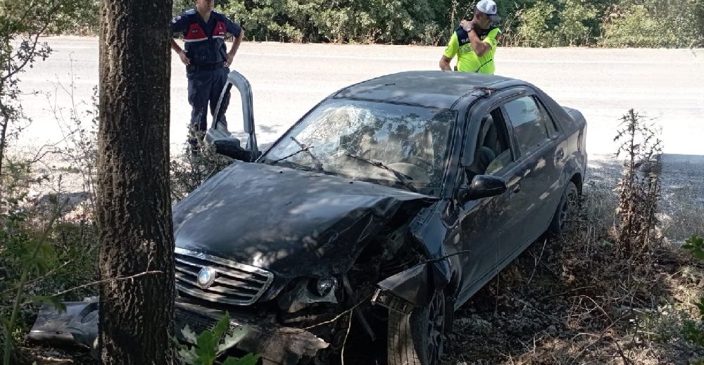 Ağaca çarpan otomobildeki 2 kişi yaralandı