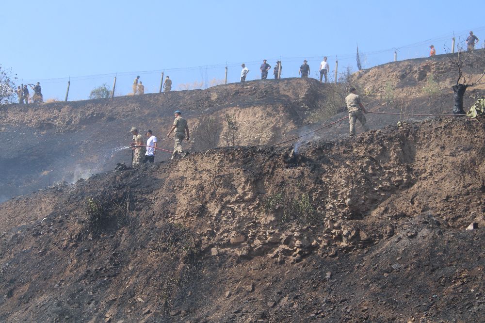 Alevler, evlere ulaşmadan söndürüldü