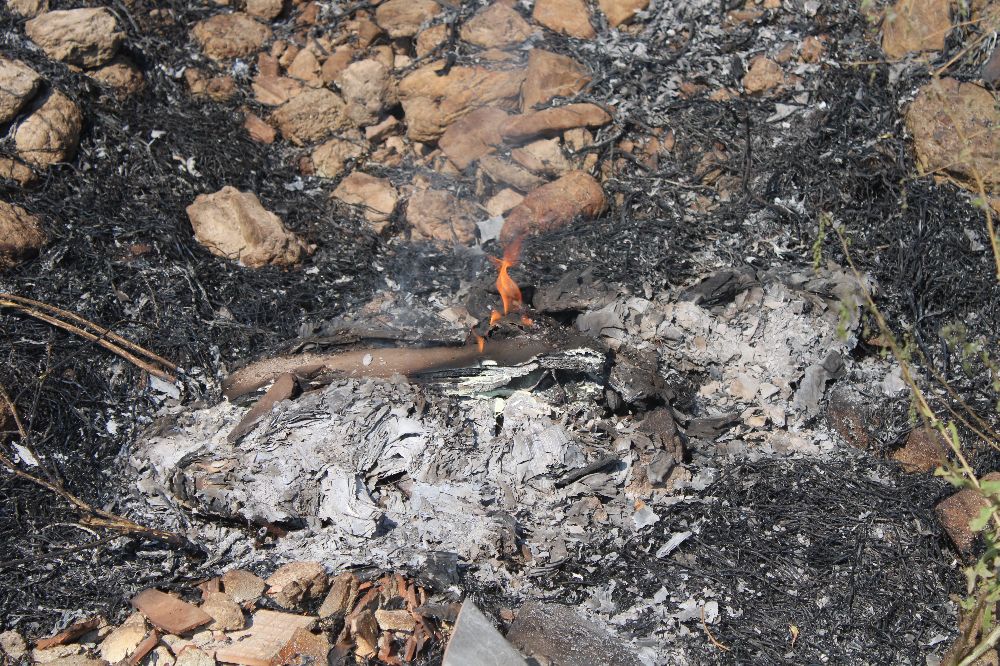 Alevler, evlere ulaşmadan söndürüldü